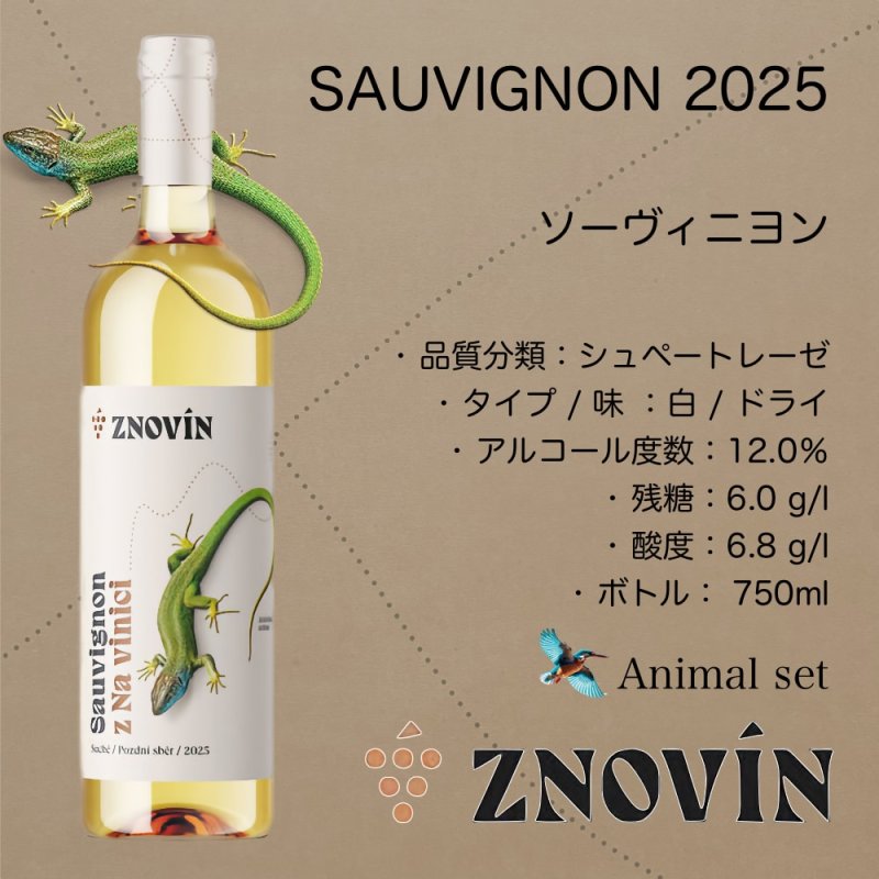 画像1: ソーヴィニヨン 2025  /  SAUVIGNON  2025   🇨🇿 (1)