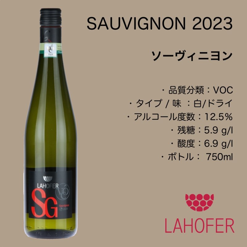 画像1: ソーヴィニヨン  2023  VOC /  SAUVIGNON  2023 VOC   🇨🇿 (1)
