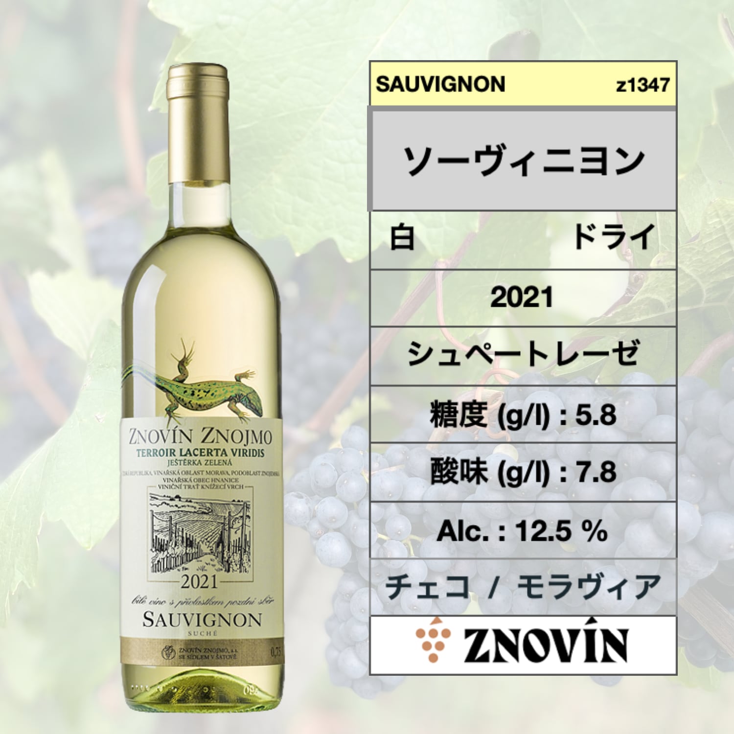 ソーヴィニヨン ブラン 2021 / Sauvignon 2021 Lacerta   🇨🇿  (ズノヴィン ズノイモ ワナリー)